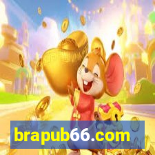 brapub66.com