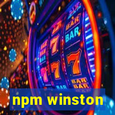 npm winston