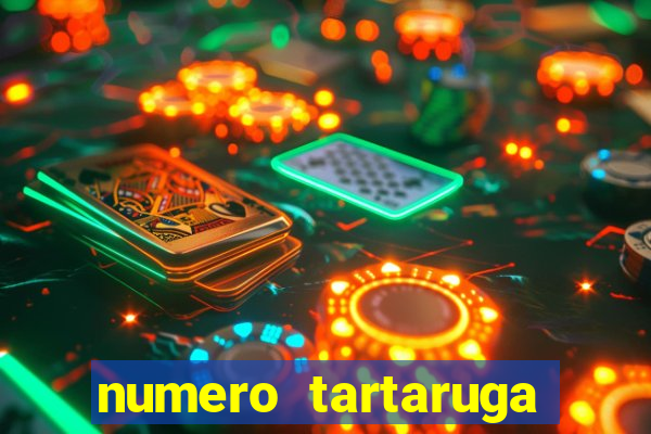 numero tartaruga jogo do bicho