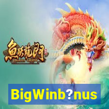 BigWinb?nus