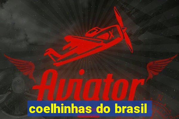 coelhinhas do brasil