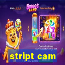 stript cam