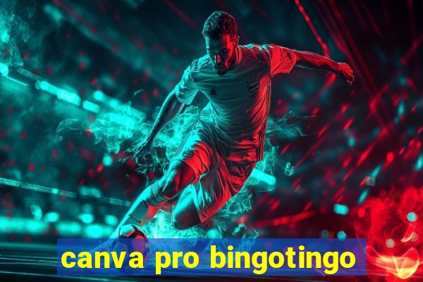 canva pro bingotingo