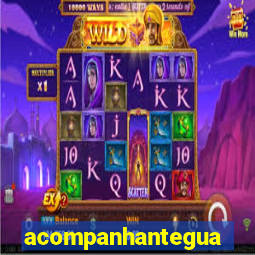 acompanhanteguanambi