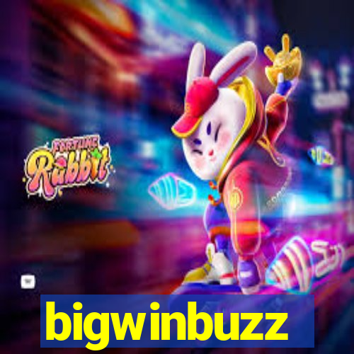 bigwinbuzz