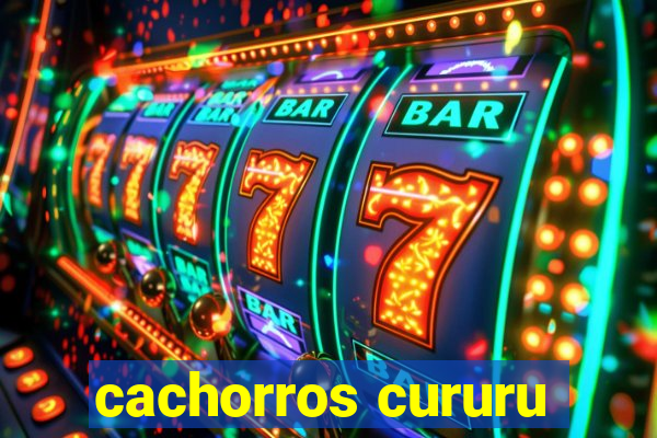 cachorros cururu