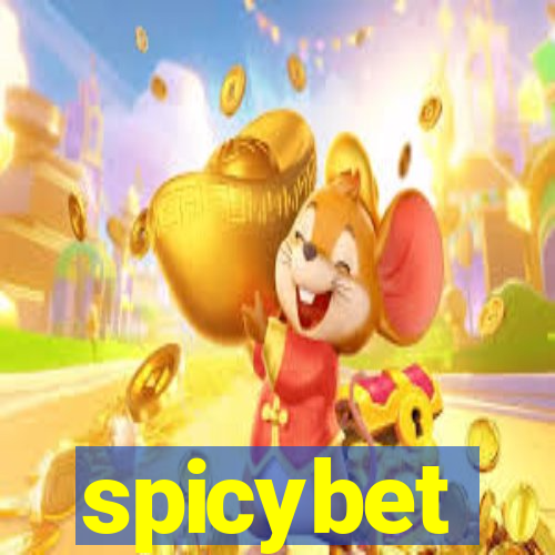 spicybet-4.com