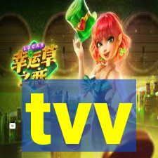 tvv-pg.com